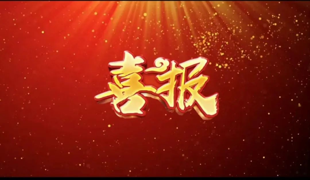 荣誉 | bifa必发荣获&ldquo;2023年杜着秀合作同伴奖，共建共享共赢的范例&rdquo;